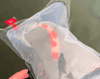 What Are the Biggest Risks After Keeping Koi Stable for Over a Year?