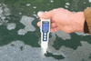 Why Should the pH in a Koi Pond Be Maintained Between 7.0 and 8.5?