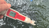 Is the pH Level Important in a Koi Pond?