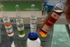 Why are Antibiotics Ineffective Against Saprolegniasis (Water Mold Disease)?