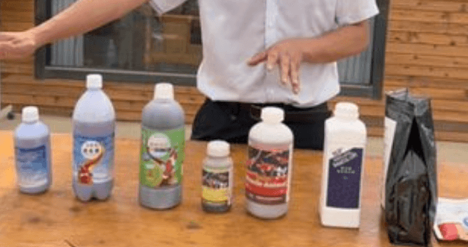 Is Regularly Adding Beneficial Bacteria to a Koi Pond Useful?