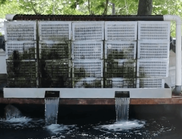 Key Points for Drip Filtration Systems