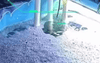 What Could Be the Causes of Foam Buildup in a Koi Pond?