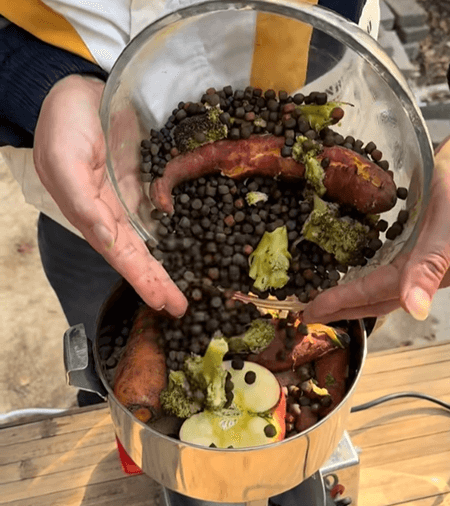 Evaluation and Practical Guide for Handmade Koi Feed
