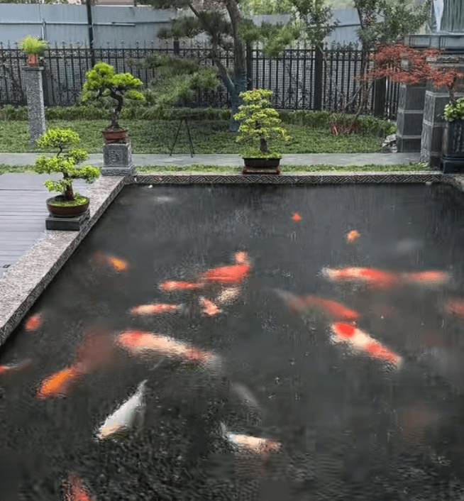 Why Do Bacterial Diseases Often Break Out After Heavy Rain?