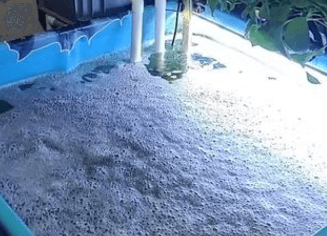 How Long Should Foam in a Koi Pond Take to Disappear?
