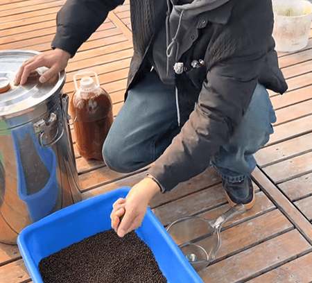 Why Should Probiotics (Lactic Acid Bacteria) Be Mixed into Feed Rather Than Added Directly to Water?