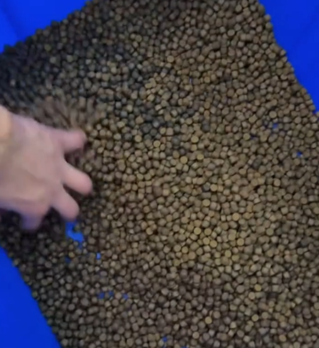 Why should the protein content of feed be reduced during periods of high temperature?
