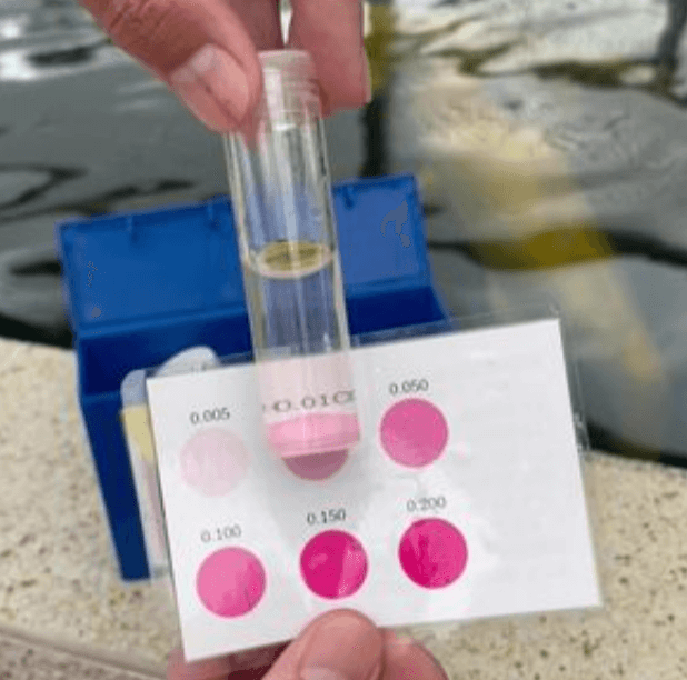 Why Must Nitrite Testing Be Conducted in the Absence of Light?