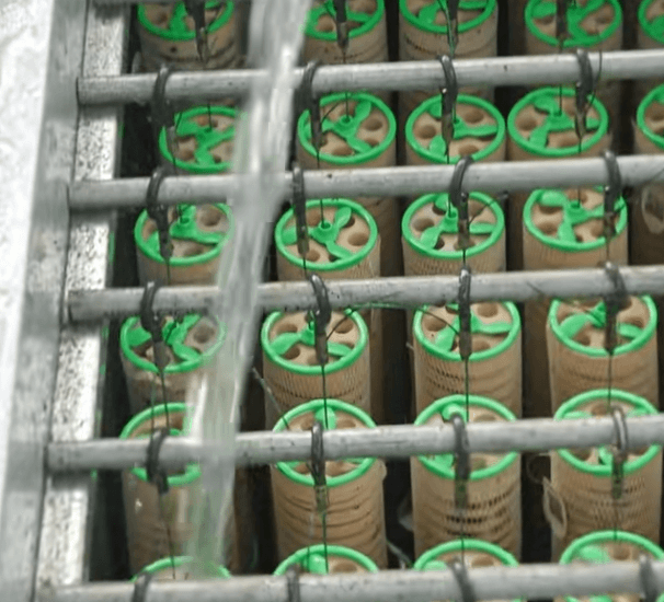 Why Should Photosynthetic Bacteria Be Added Weekly?