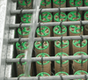 Why Should Photosynthetic Bacteria Be Added Weekly?