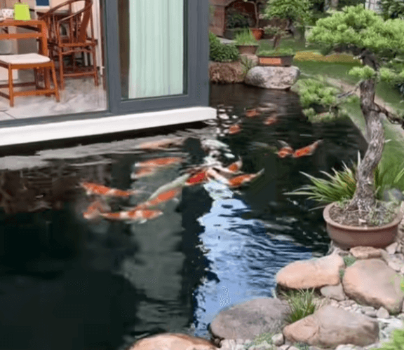 Why is a Pond Depth of Over 1.5 Meters Recommended?