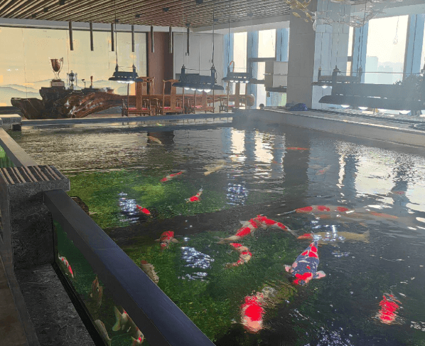 Why Should New Fish Be Fasted for 3 Days After Entering the Pond?