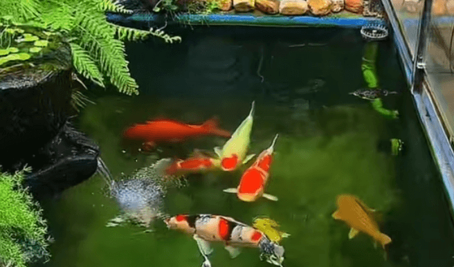 Why Should Water Change Volumes Be Increased in Summer?
