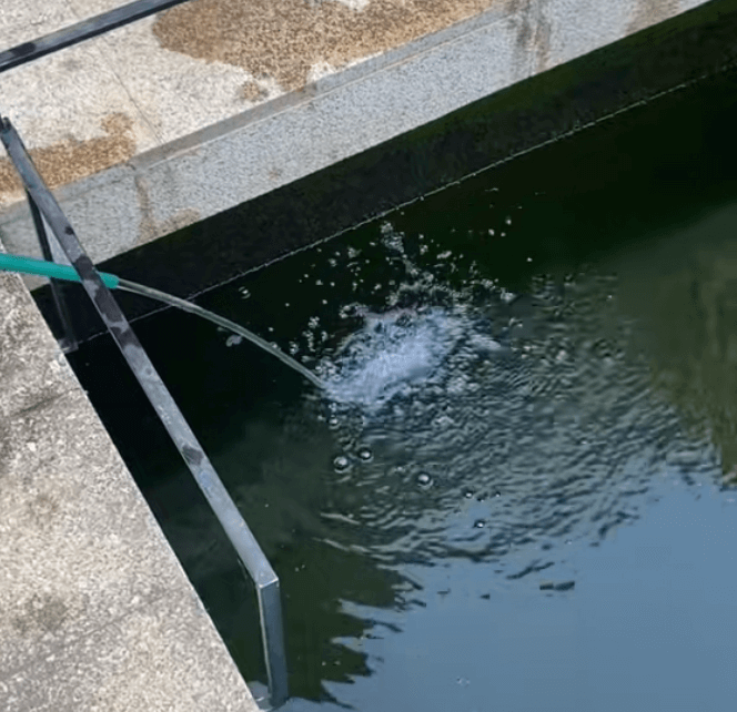 Water for Koi Keeping