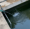 Water for Koi Keeping