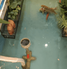 What is the Appropriate Water Circulation Rate for a Koi Pond?