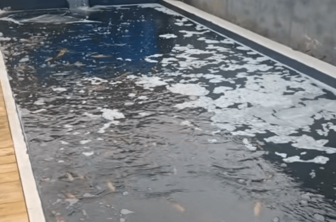 Why Does Water Quality Deteriorate Rapidly After Heavy Rain?