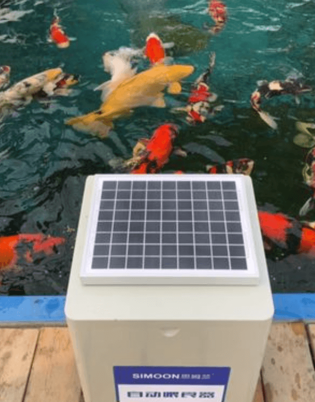 Koi Scientific Feeding Practices