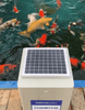 Koi Scientific Feeding Practices