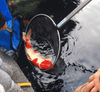 Should Koi Be Frequently Caught for Examination?