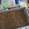 What is the Appropriate Protein Content for Koi Feed?