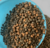 Is Feed Quality Important?