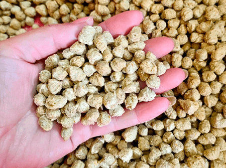 Why Do Juvenile Fish Require Feed with Higher Protein Content Than Adult Fish?