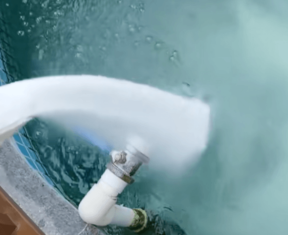 Can Salt Be Used Long-Term in Koi Keeping?