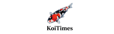 KoiTimes